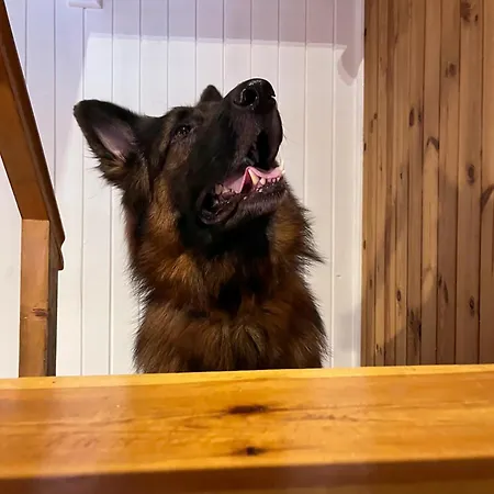 Ferienhaus Szumiaca Sosna - Jacuzzi, Ognisko, Sauna, Bbq