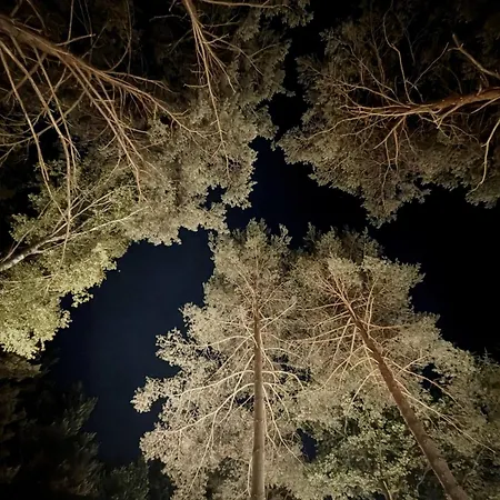 Szumiaca Sosna - Jacuzzi, Ognisko, Sauna, Bbq * Arciechow