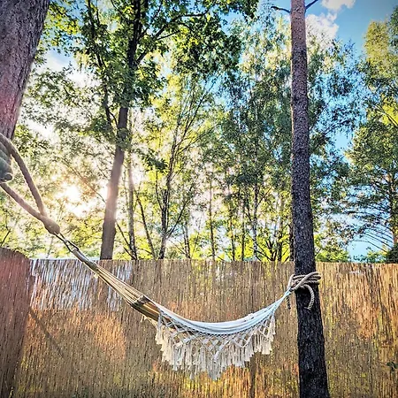 Szumiaca Sosna - Jacuzzi, Ognisko, Sauna, Bbq *