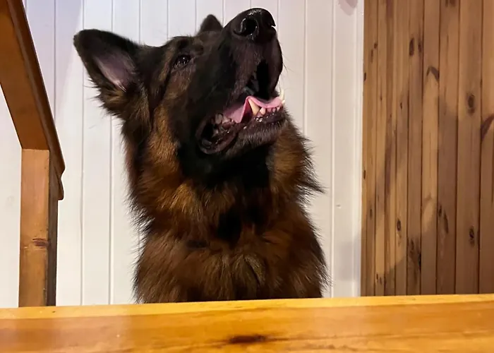 Сasa de vacaciones Szumiaca Sosna - Jacuzzi, Ognisko, Sauna, Bbq