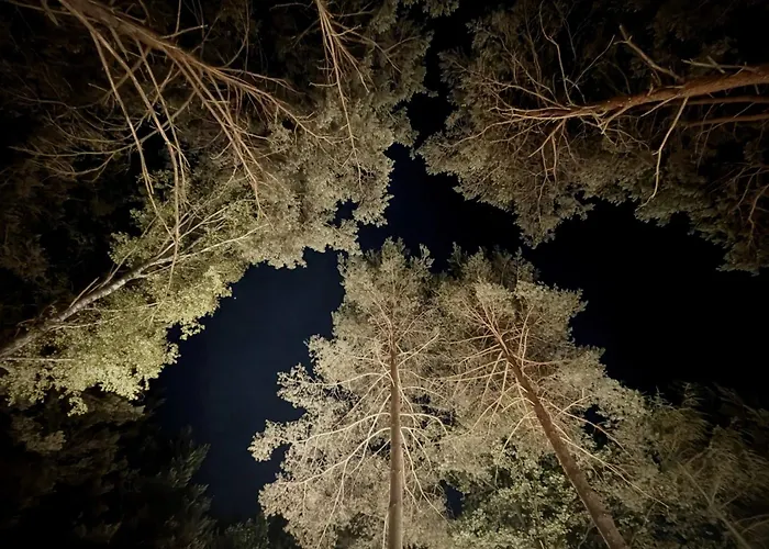 Szumiaca Sosna - Jacuzzi, Ognisko, Sauna, Bbq * Arciechow